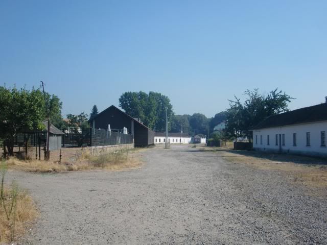 photo CIMG9640_zps5e28ae02.jpg