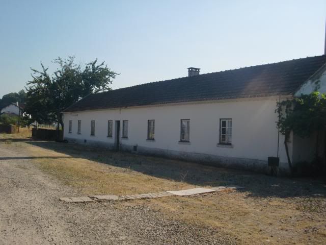 photo CIMG9641_zps16c0f554.jpg