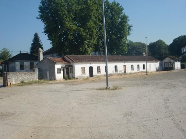 photo CIMG9643_zps4beaca83.jpg