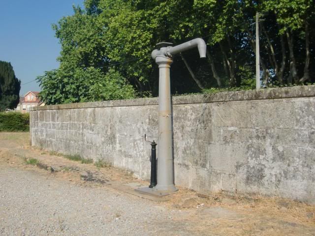 photo CIMG9650_zps5f97a91d.jpg