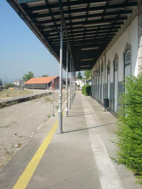 photo CIMG9653_zps57f26abf.jpg