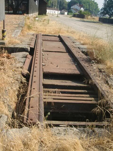 photo CIMG9668_zps90dde4c0.jpg