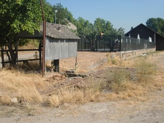 photo CIMG9669_zpsddadc967.jpg