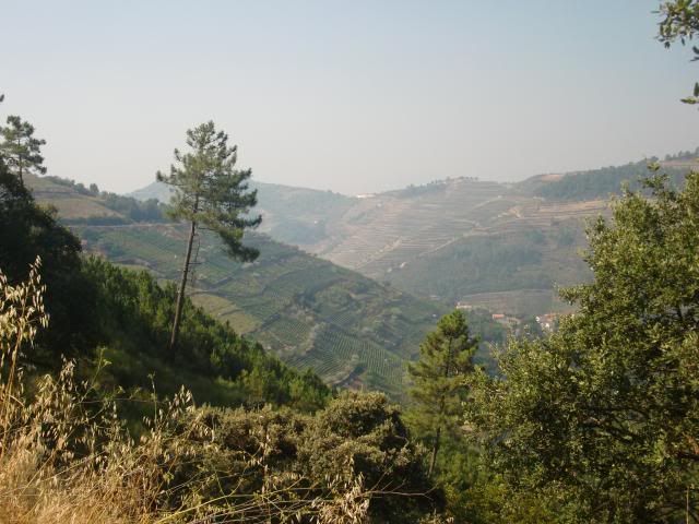 photo CIMG9670_zps03656383.jpg