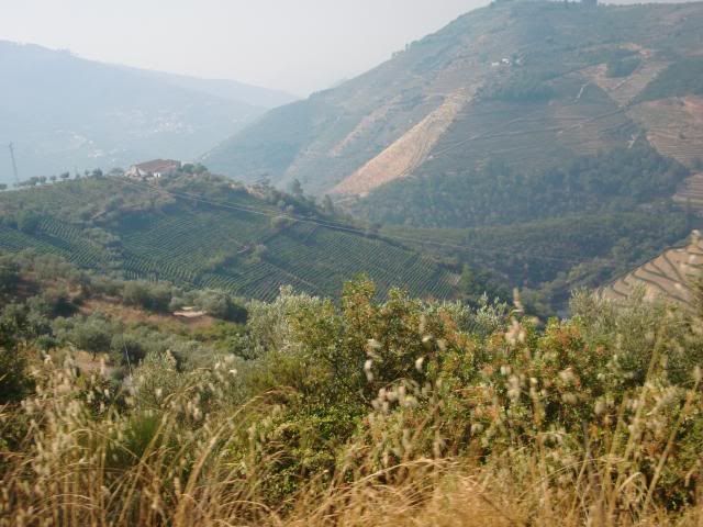 photo CIMG9671_zps1950eb45.jpg