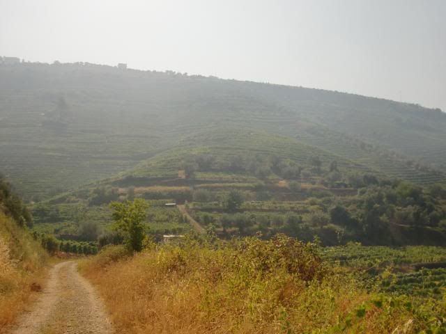 photo CIMG9674_zps74a961f4.jpg