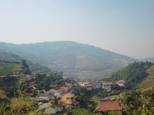 photo CIMG9675_zps977407df.jpg