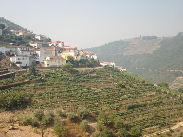 photo CIMG9676_zpsa18fb178.jpg