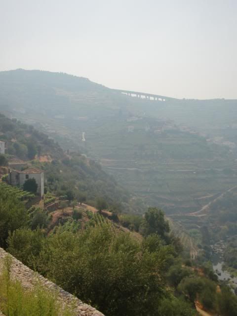 photo CIMG9678_zps452e9f23.jpg