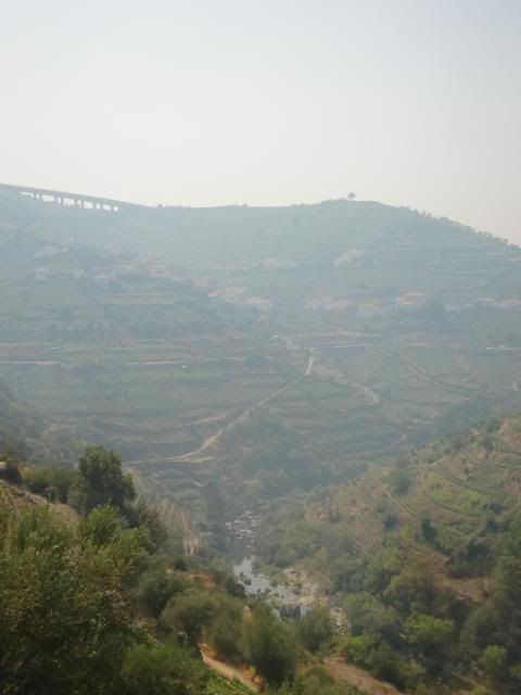 photo CIMG9679_zpsdd7ae0eb.jpg