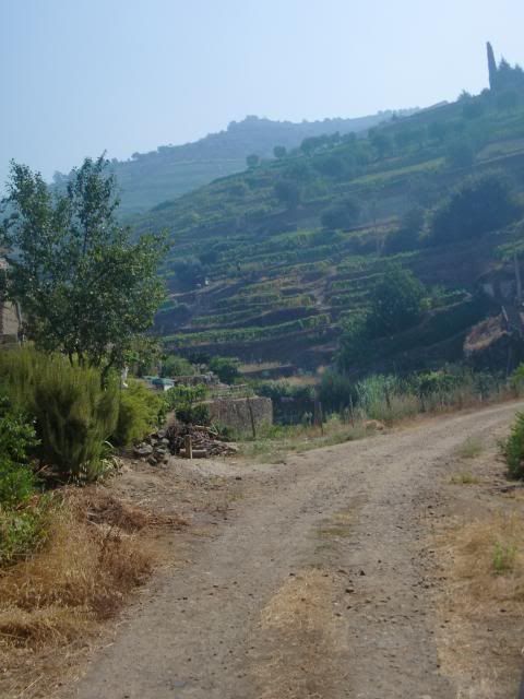 photo CIMG9681_zps3af6a8c1.jpg