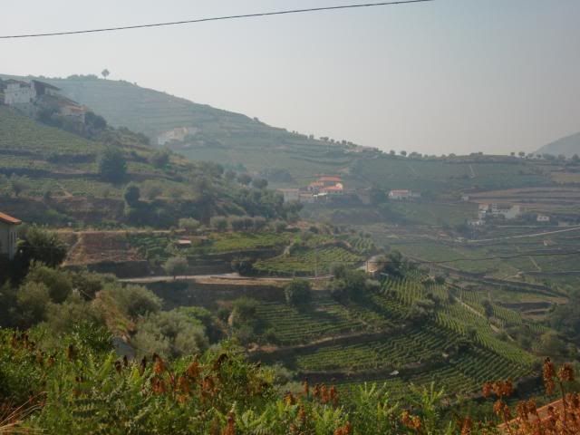 photo CIMG9682_zps9c571de0.jpg