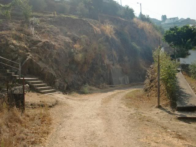 photo CIMG9683_zpsdd1b15c7.jpg