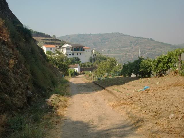 photo CIMG9690_zps7185bbac.jpg