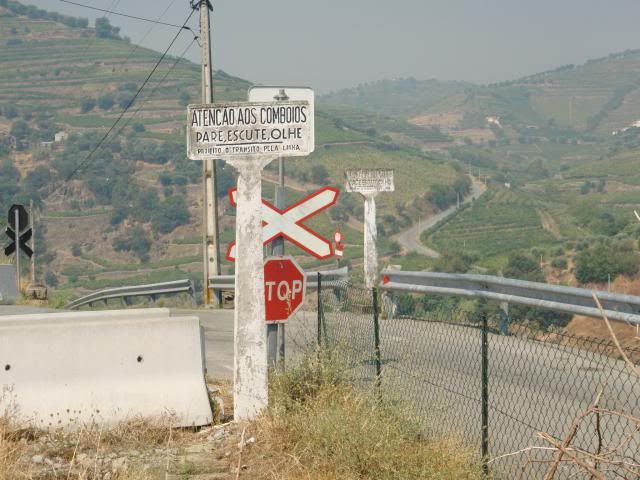 photo CIMG9691_zps7dd25c04.jpg