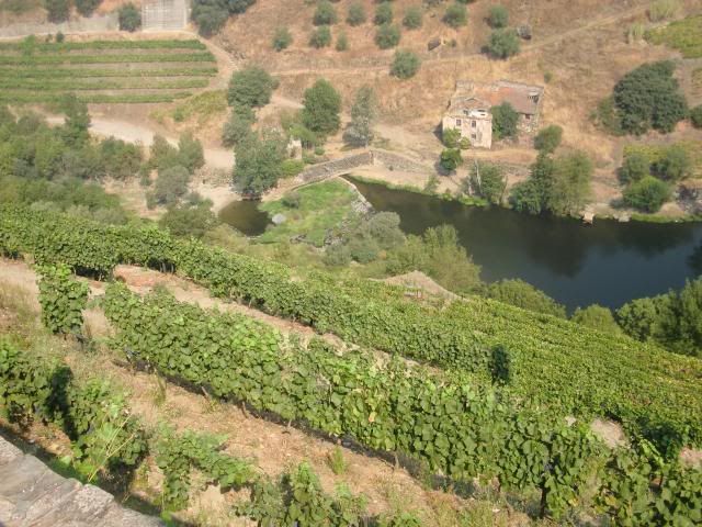 photo CIMG9694_zps9503818c.jpg