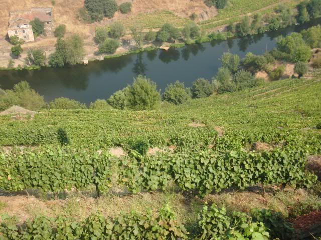 photo CIMG9695_zpsbb45bf50.jpg