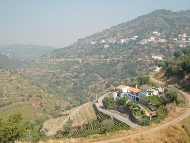 photo CIMG9698_zpsa75b8e09.jpg