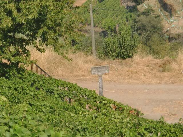 photo CIMG9699_zpseb5c9540.jpg