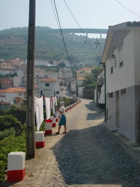 photo CIMG9701_zps6cf6ca66.jpg