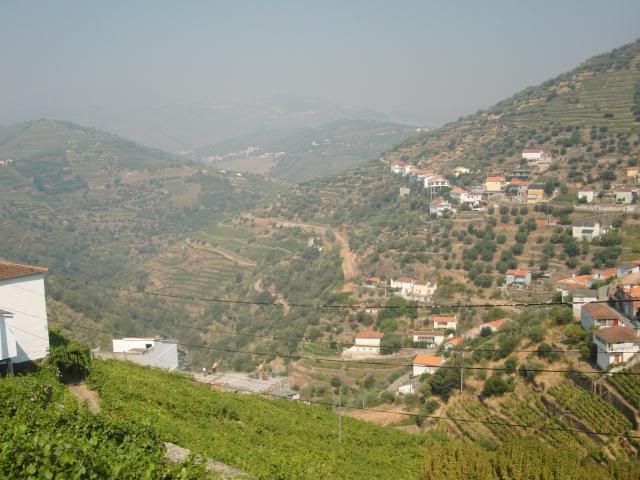 photo CIMG9703_zpsee2b9747.jpg