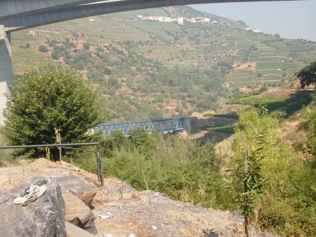 photo CIMG9706_zps92a258c2.jpg