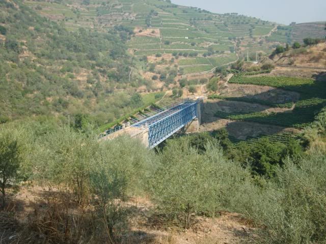 photo CIMG9709_zps5545835f.jpg