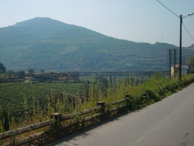 photo CIMG9710_zps83f36731.jpg