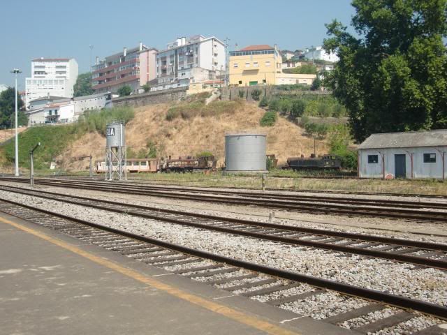 photo CIMG9714_zps2990ab1f.jpg