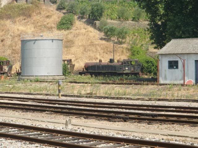 photo CIMG9716_zps535781a9.jpg