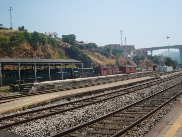 photo CIMG9720_zps3b8c05b9.jpg