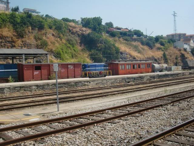 photo CIMG9722_zps31d70ad5.jpg