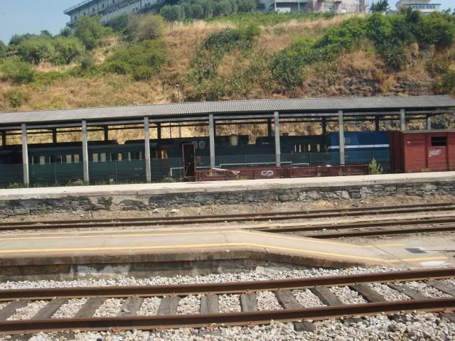 photo CIMG9723_zps402f42d6.jpg