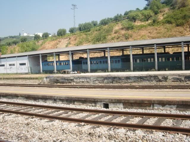 photo CIMG9724_zpsffd2e01e.jpg