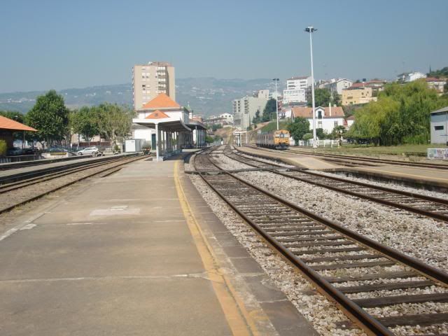 photo CIMG9725_zps2e7c0ea4.jpg