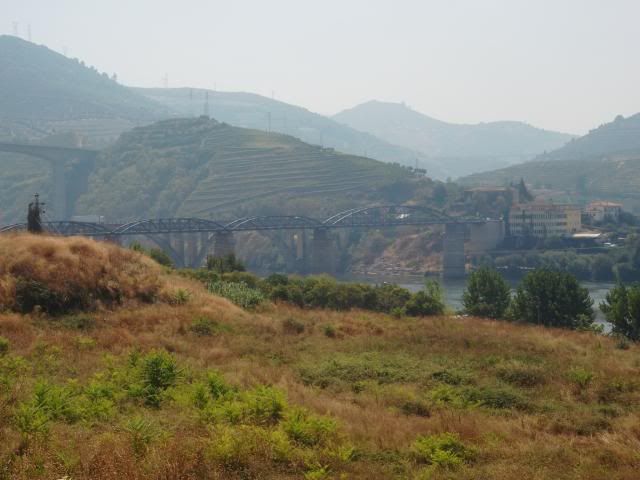 photo CIMG9735_zps1e2d4f77.jpg