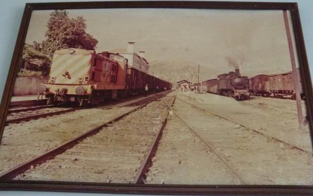 photo CIMG9738_zps63a2cb45.jpg