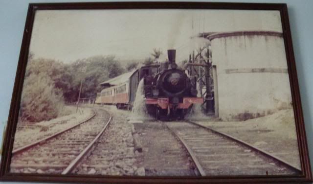 photo CIMG9739_zps41fea03e.jpg