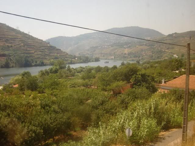 photo CIMG9744_zpsfe53befc.jpg