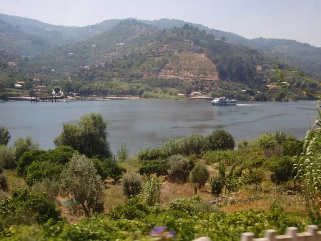 photo CIMG9757_zpsf405da2b.jpg