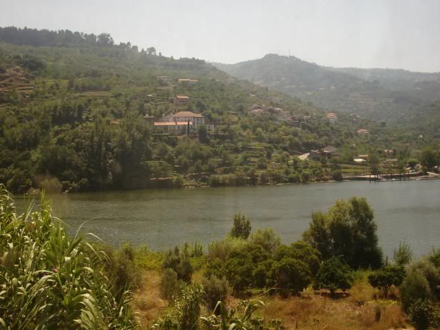 photo CIMG9759_zpsef0010ef.jpg