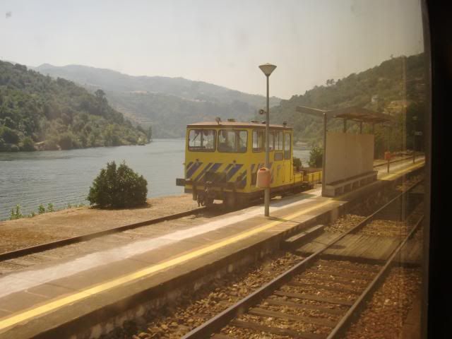 photo CIMG9766_zps344fac5f.jpg