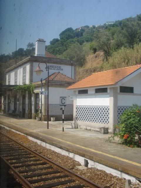 photo CIMG9778_zps16620bf2.jpg