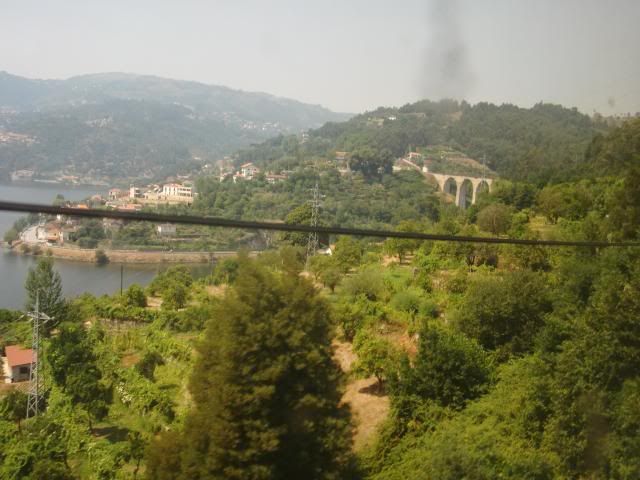 photo CIMG9795_zps8d608943.jpg