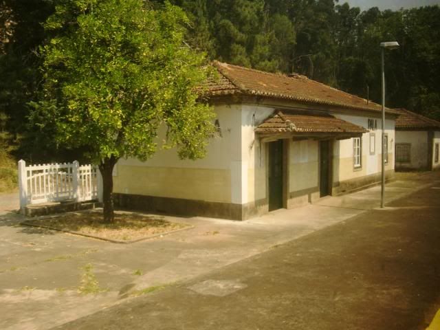 photo CIMG9799_zpsfdd48e13.jpg