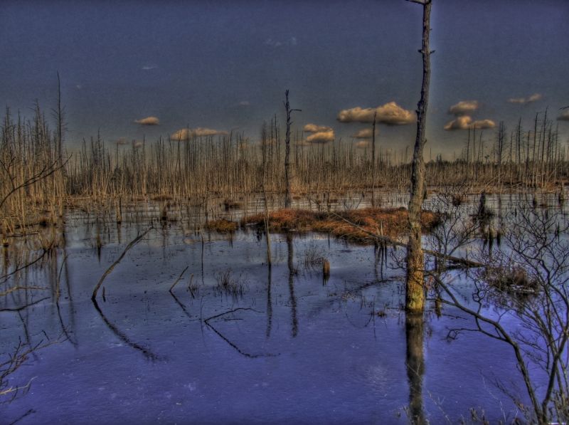 IMG_1414_5_6_tonemapped_zps2b0a37fe.jpg