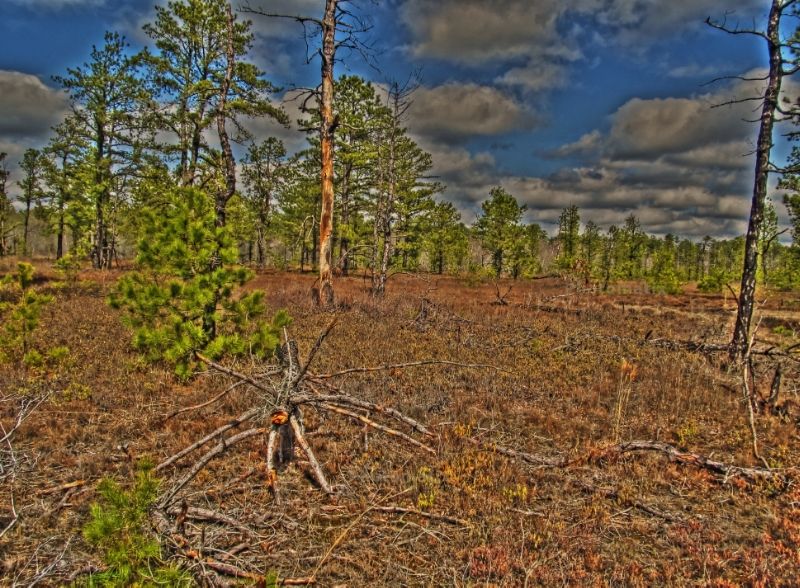 IMG_1583_4_5_tonemapped_zps00dffce9.jpg