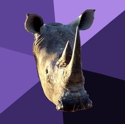 Sexually-Oblivious-Rhino.jpg?t=1300670743