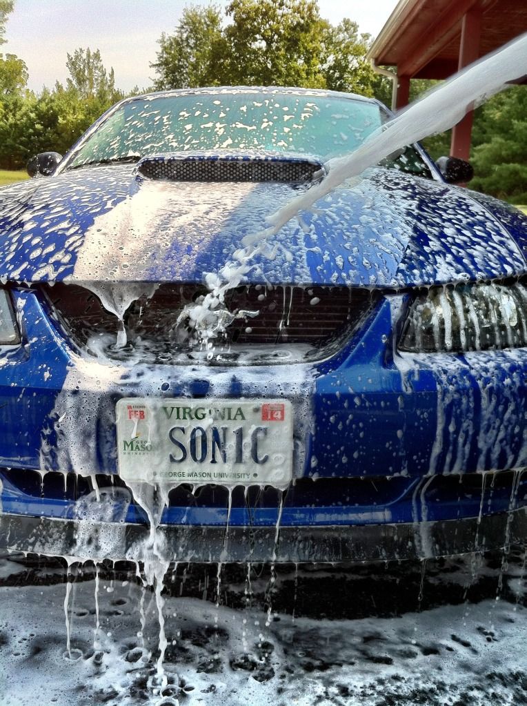 97f8c18e.jpg