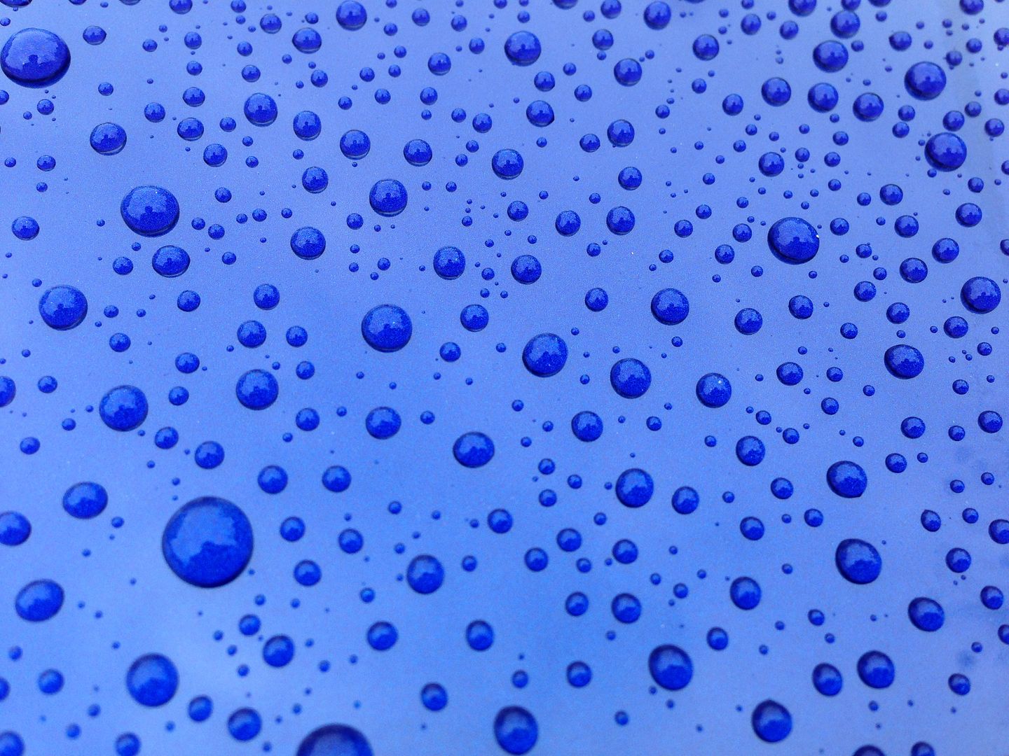 D4C32DB5-60D8-41D3-9AE6-8378AD715E86-9911-000004C36336AD5D.jpg